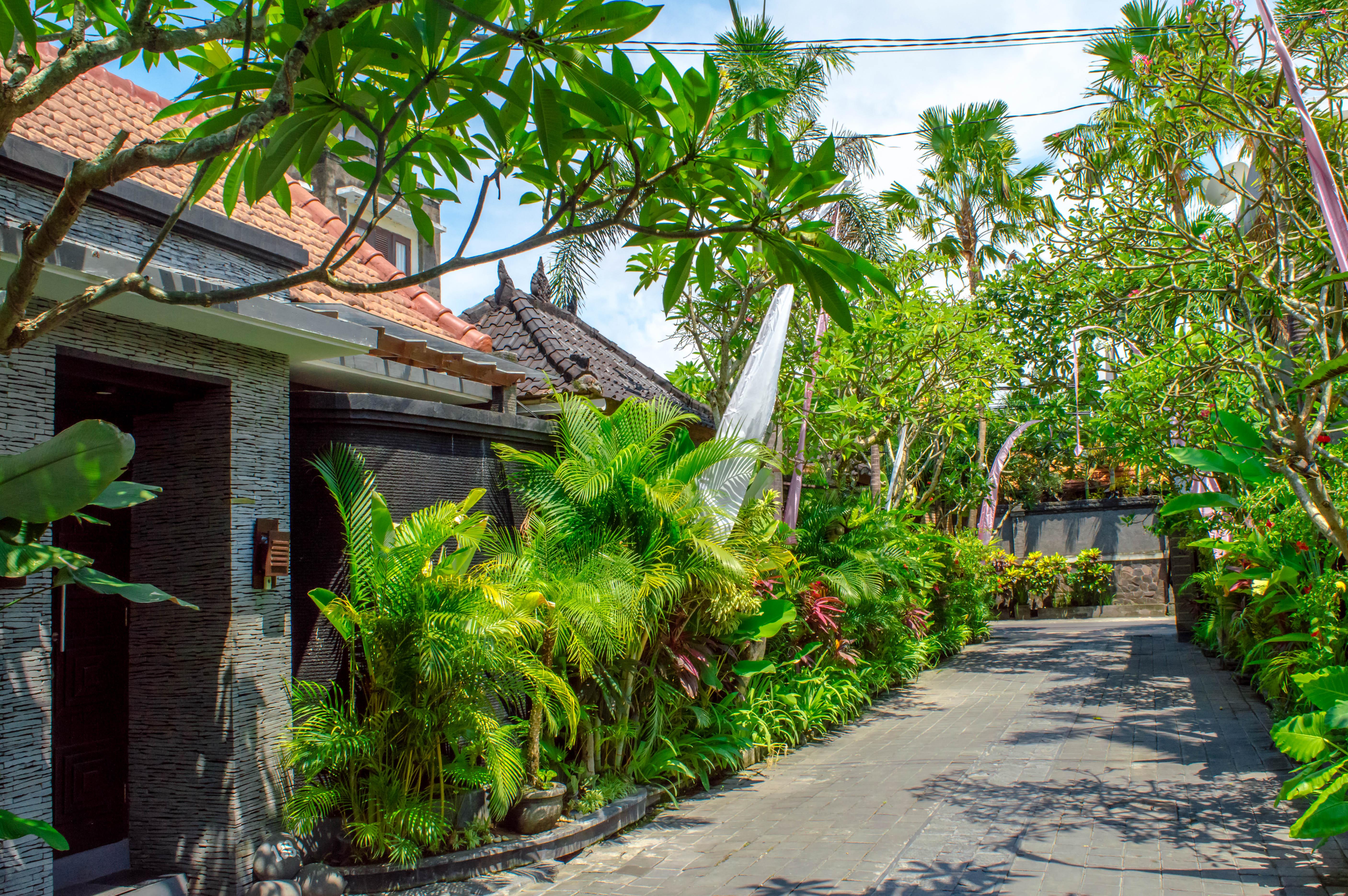 The Bali Dream Villa Seminyak Zewnętrze zdjęcie